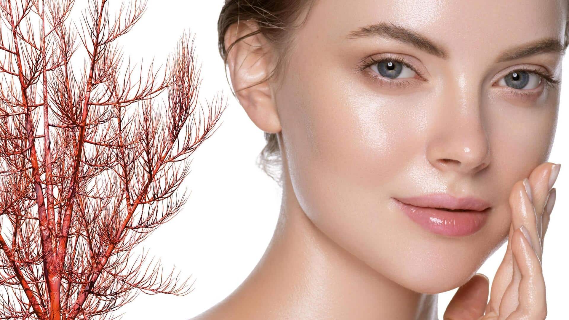 Skincare Tips: జాంజిబార్ రెడ్ ఆల్గే.. మెరిసే చర్మం మీ సొంతం..