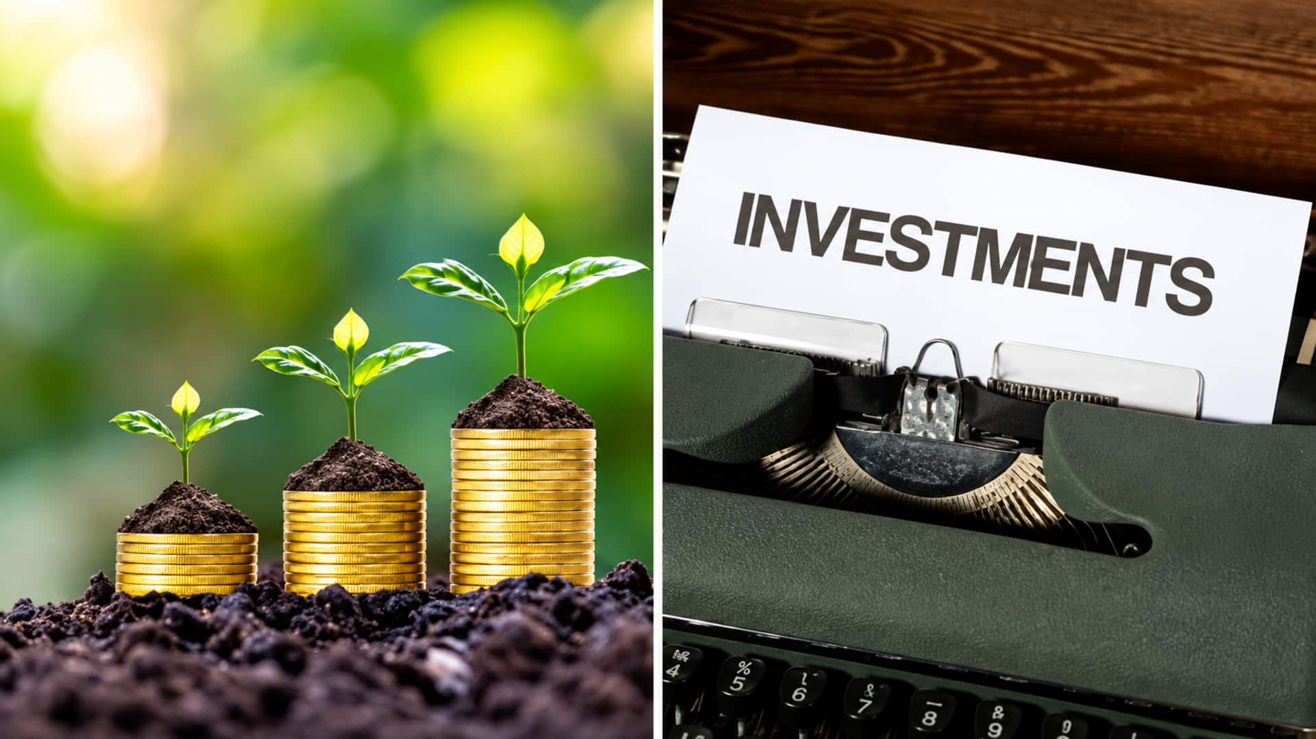 SSY,PPF Interest Rates: PPF,SSY,SCSS వడ్డీ రేట్లు యథాతథం.. ఈ రేట్లు ఎలా నిర్ణయిస్తారంటే?