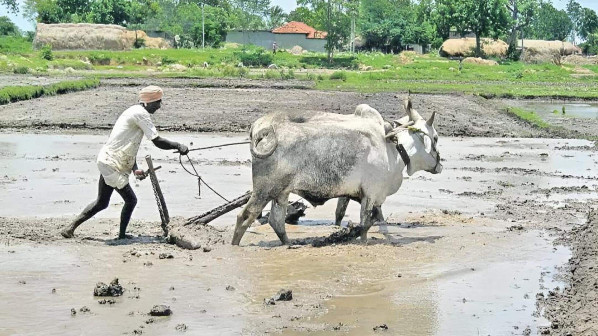 Telangana Govt: రైతు భరోసా పథకంపై ప్రభుత్వం తెలంగాణ కీలక నిర్ణయం.. ప్రతి ఎకరా భూమికి రూ.12,000
