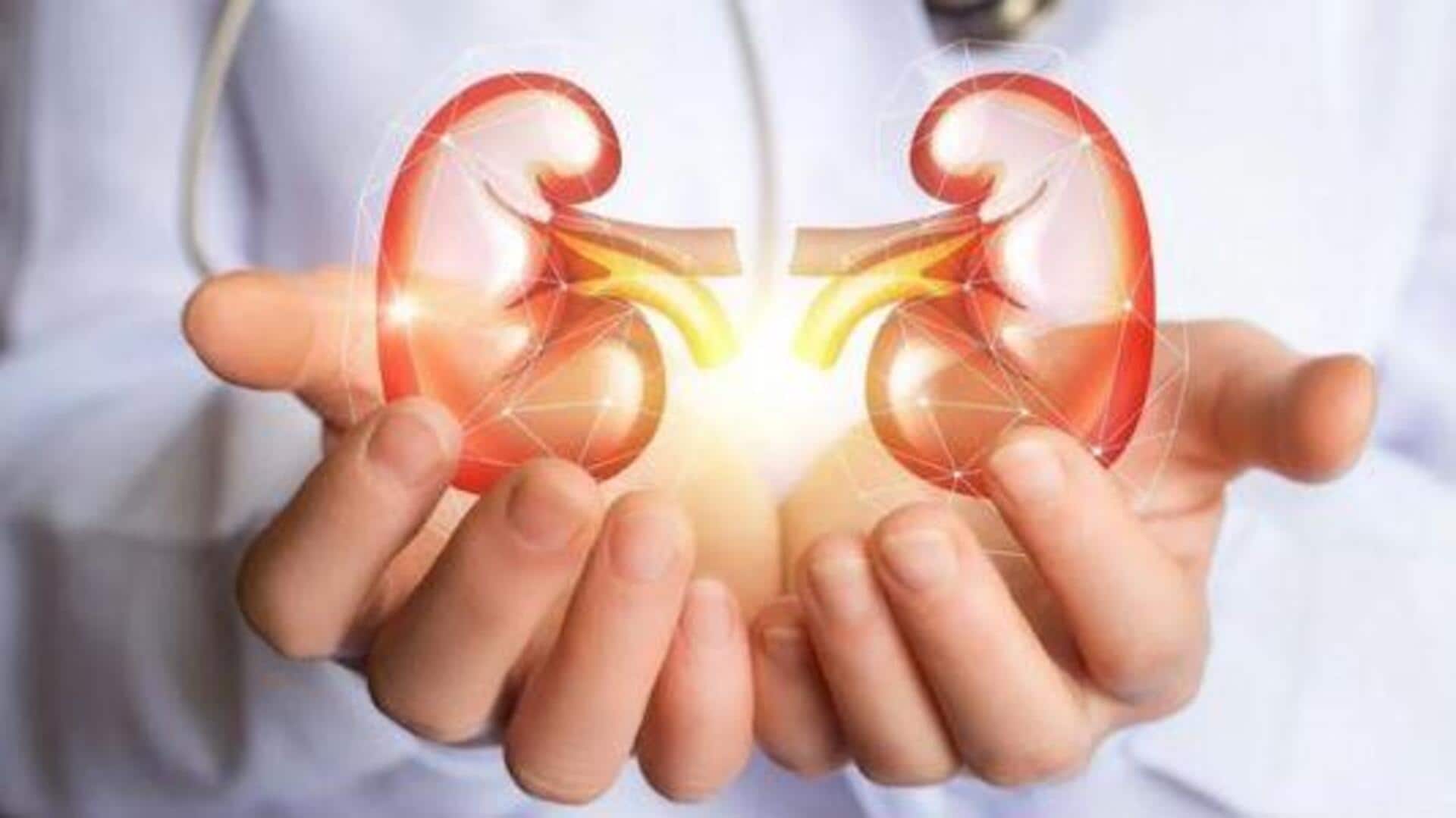 Healthy Kidney: ఆరోగ్యకర కిడ్నీలు కావాలా? ఈ 6 చిట్కాలు తప్పక తెలుసుకోండి! Healthy Kidney: ఆరోగ్యకర కిడ్నీలు కావాలా? ఈ 6 చిట్కాలు తప్పక తెలుసుకోండి!