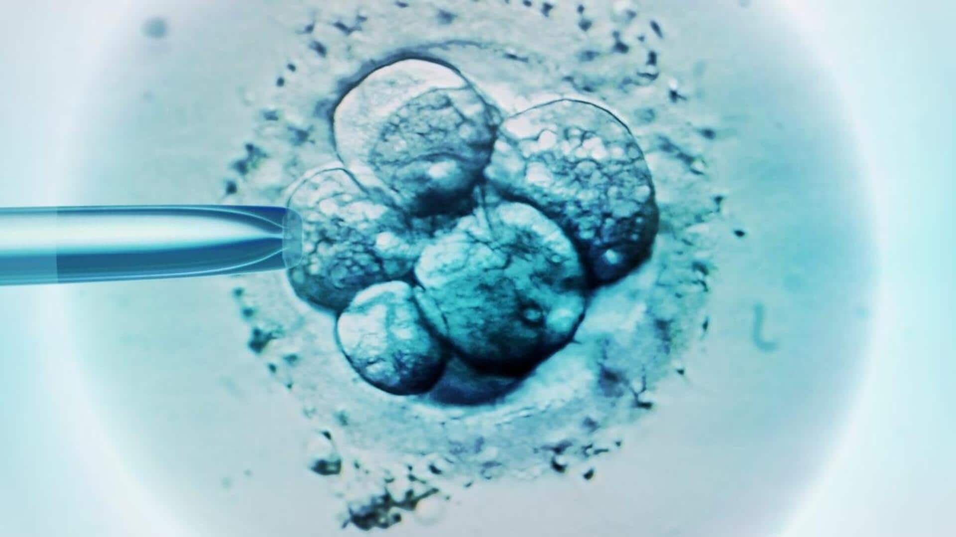 China's 'artificial embryos': 14 రోజుల నిబంధనకు చెక్.. స్పేస్‌లో చైనా కొత్త ప్రయోగాలు