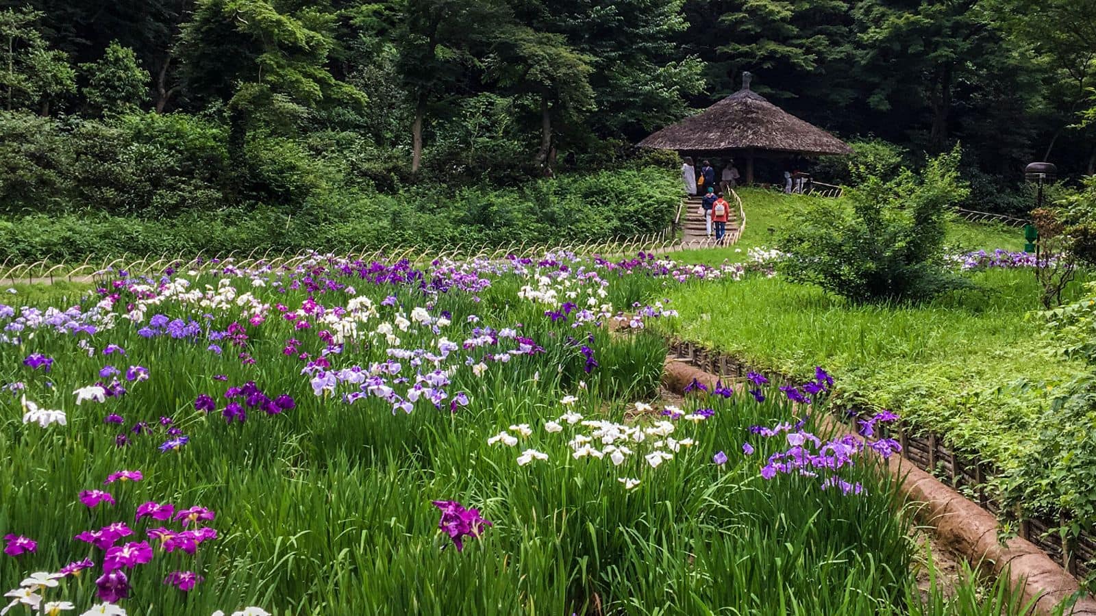 สวนลับในโตเกียวที่ต้องไปเยือน