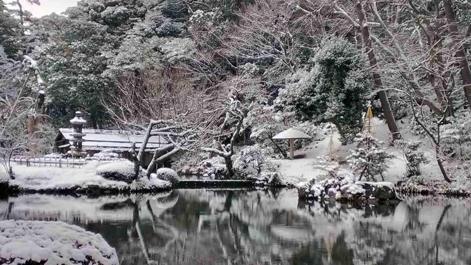 สถานที่ท่องเที่ยวฤดูหนาวในโตเกียว