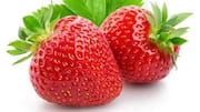 น้ำมันเมล็ดสตรอว์เบอร์รี่: ฟื้นฟูผิวให้สุขภาพดีด้วยพลังธรรมชาติ