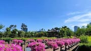 สวนสาธารณะลับในเกาหลีใต้สำหรับการพักผ่อน