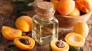 น้ำมันเมล็ดแอปริคอต: ประโยชน์ด้านความงามที่คุณอาจไม่เคยรู้