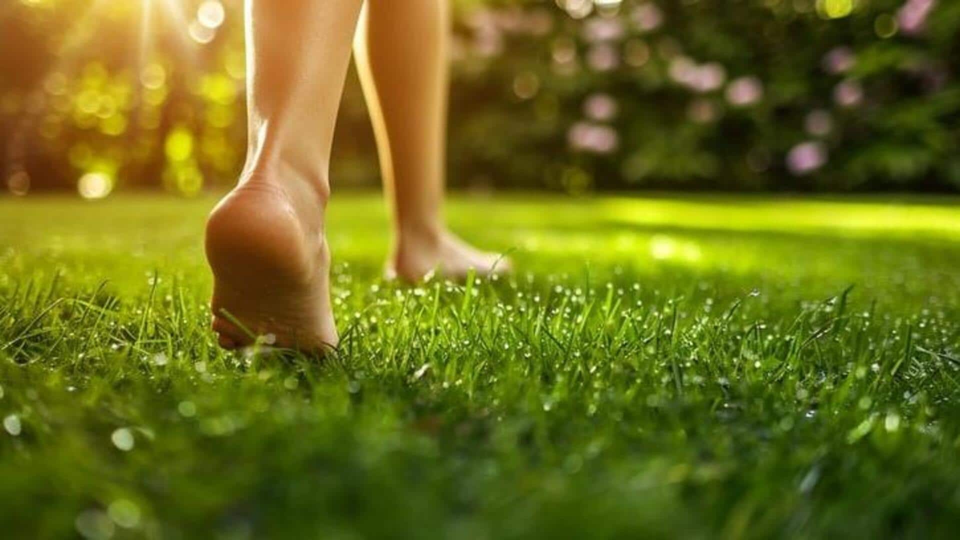 เดินเท้าเปล่าบนหญ้าชื้น: 5 ประโยชน์เพื่อสุขภาพที่คุณอาจไม่เคยรู้