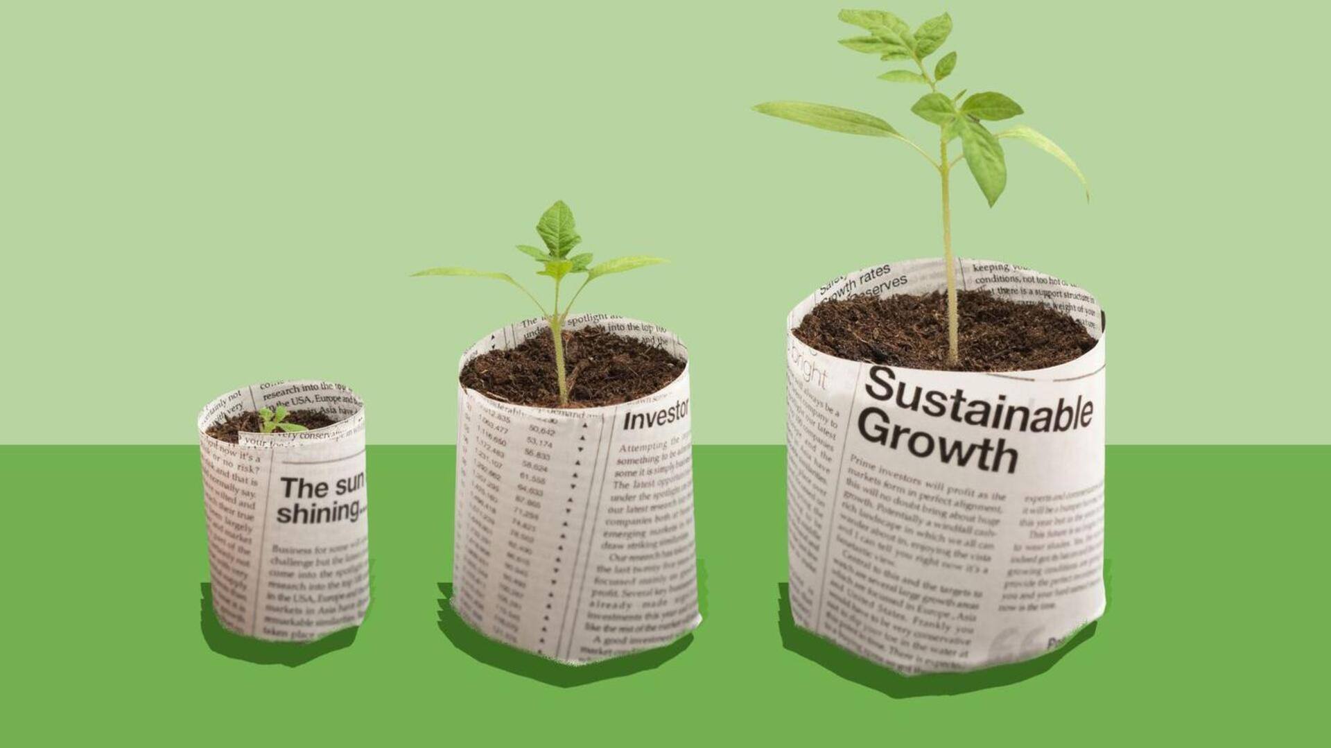 รีไซเคิลหนังสือพิมพ์เก่าเป็นกระถางต้นไม้แบบง่ายๆ