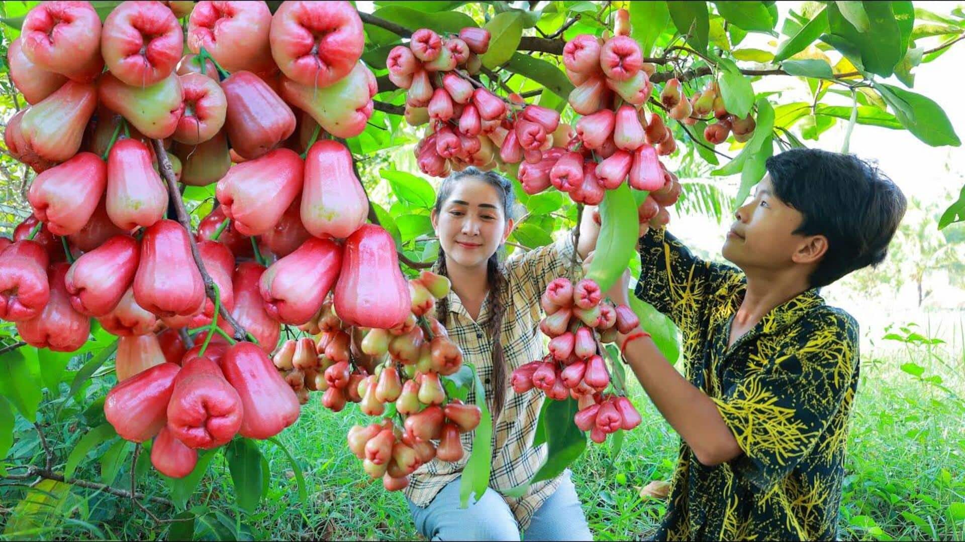 ซัลซ่าชมพู่: ดิปผักดองกรอบ รสเปรี้ยวหวานสไตล์ไทย