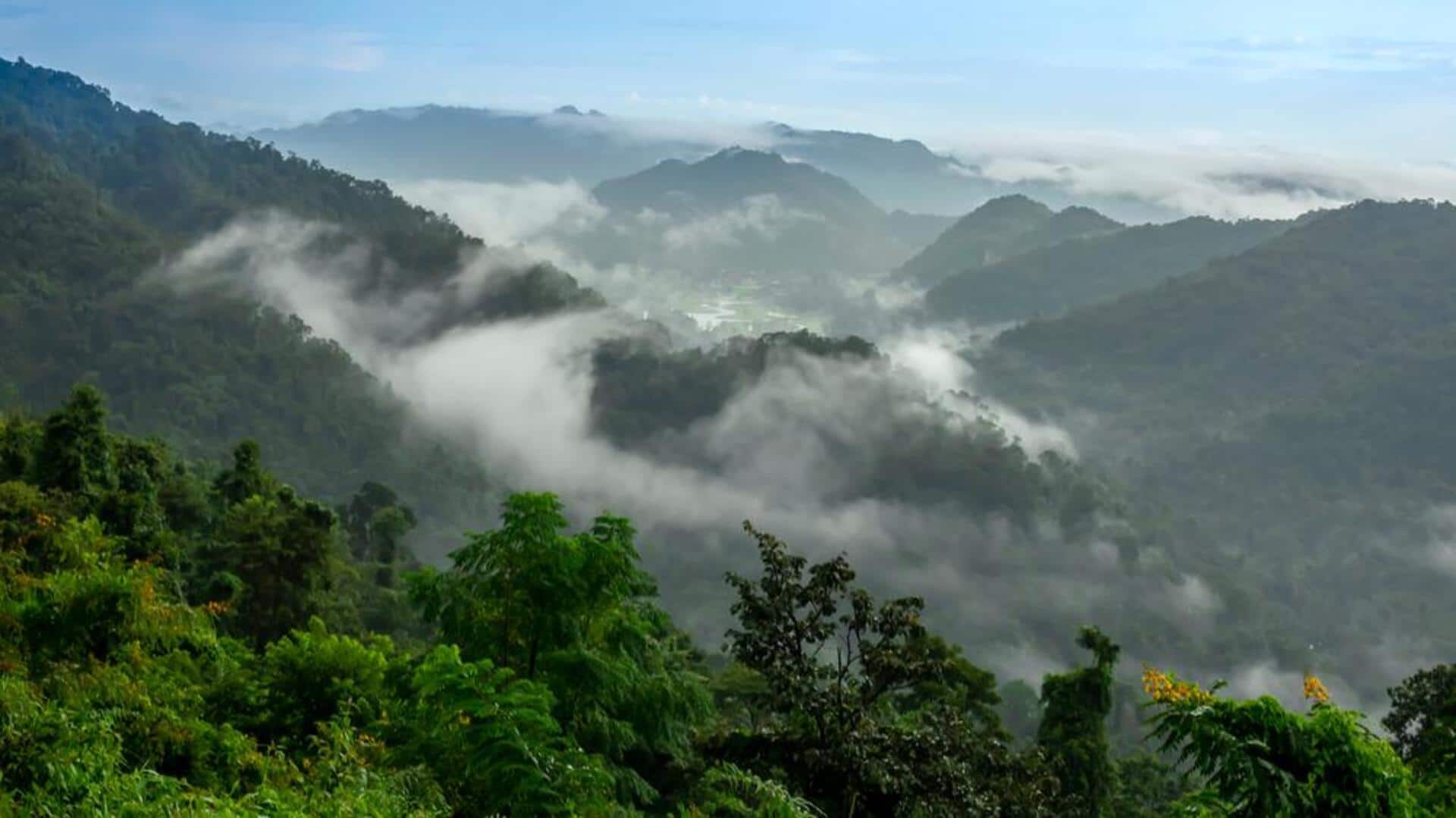 เดินป่าในป่าโบราณ: 5 เส้นทางที่น่าหลงใหล เดินป่าในป่าโบราณ: 5 เส้นทางที่น่าหลงใหล