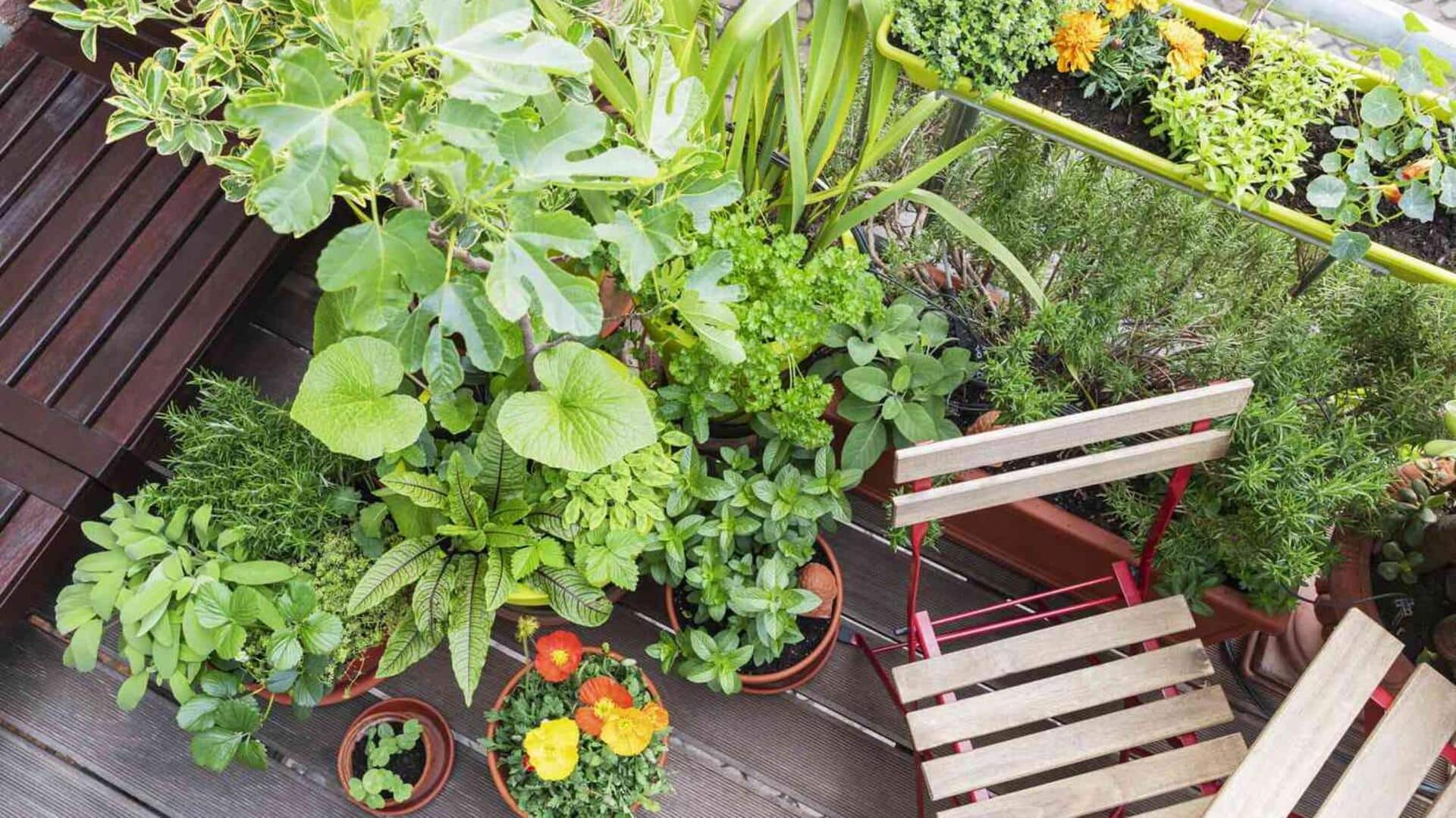 ปรับปรุงคุณภาพอากาศด้วยการทำสวนบนระเบียง