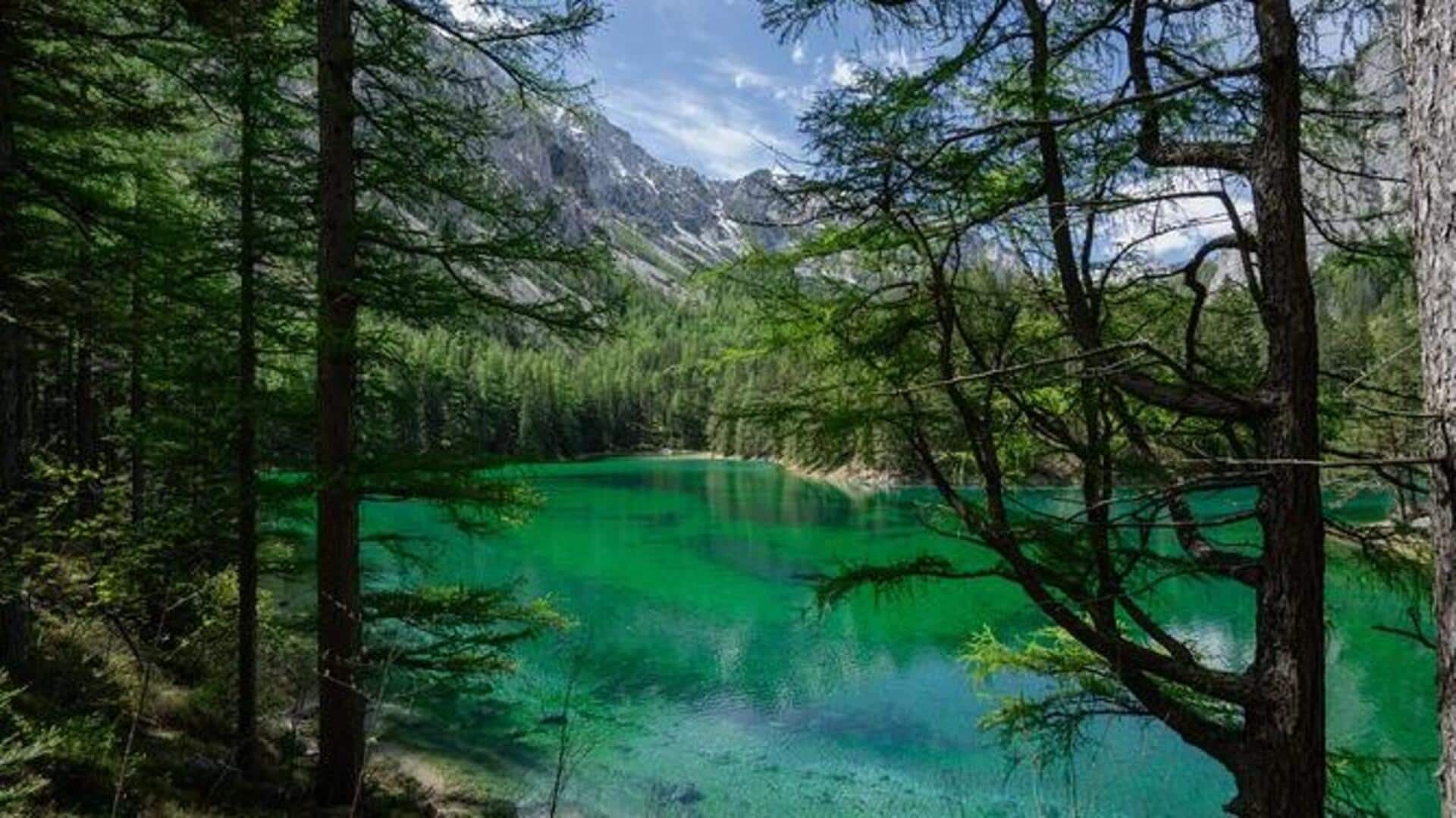 สำรวจป่าไม้เขียวขจีของออสเตรีย: ที่พักผ่อนท่ามกลางธรรมชาติ