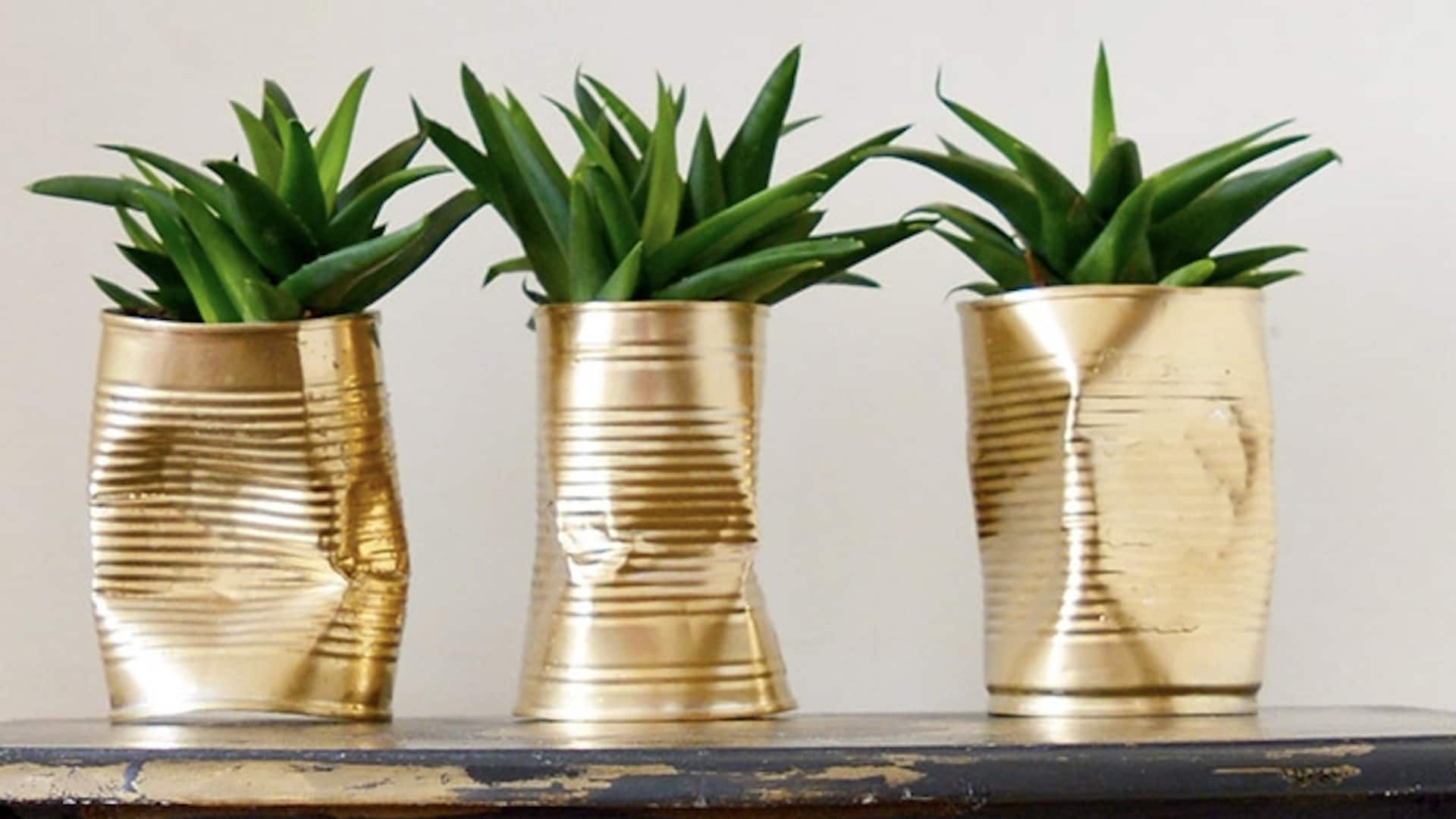 ไอเดียเปลี่ยนกระป๋องดีบุกเก่าให้เป็นกระถางต้นไม้สุดเก๋ในงบประหยัด