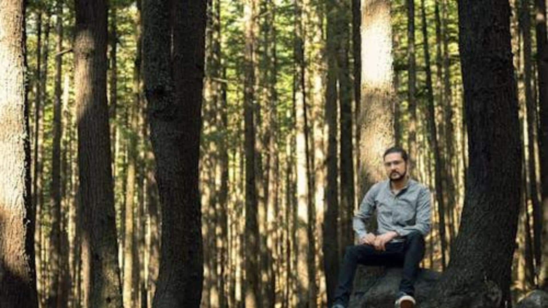 การเพิ่มสมาธิด้วยการสังเกตต้นไม้