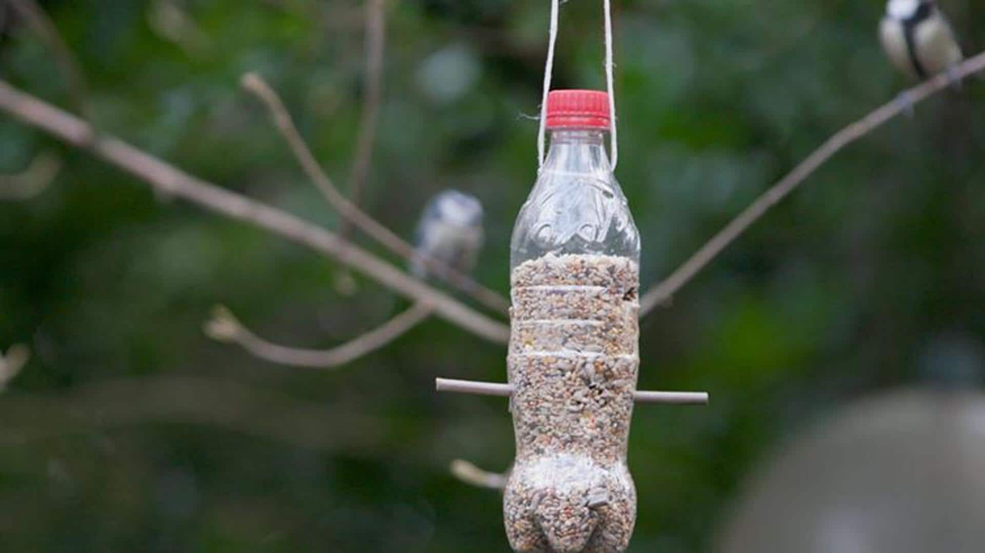 ทำที่ให้อาหารนกง่าย ๆ จากของใช้ในบ้าน