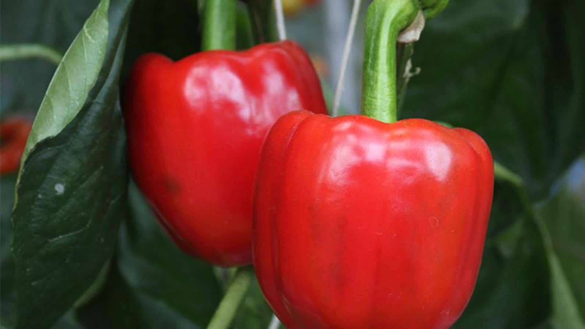 พริกหวาน: ความลับสู่ผิวสวยเปล่งปลั่ง