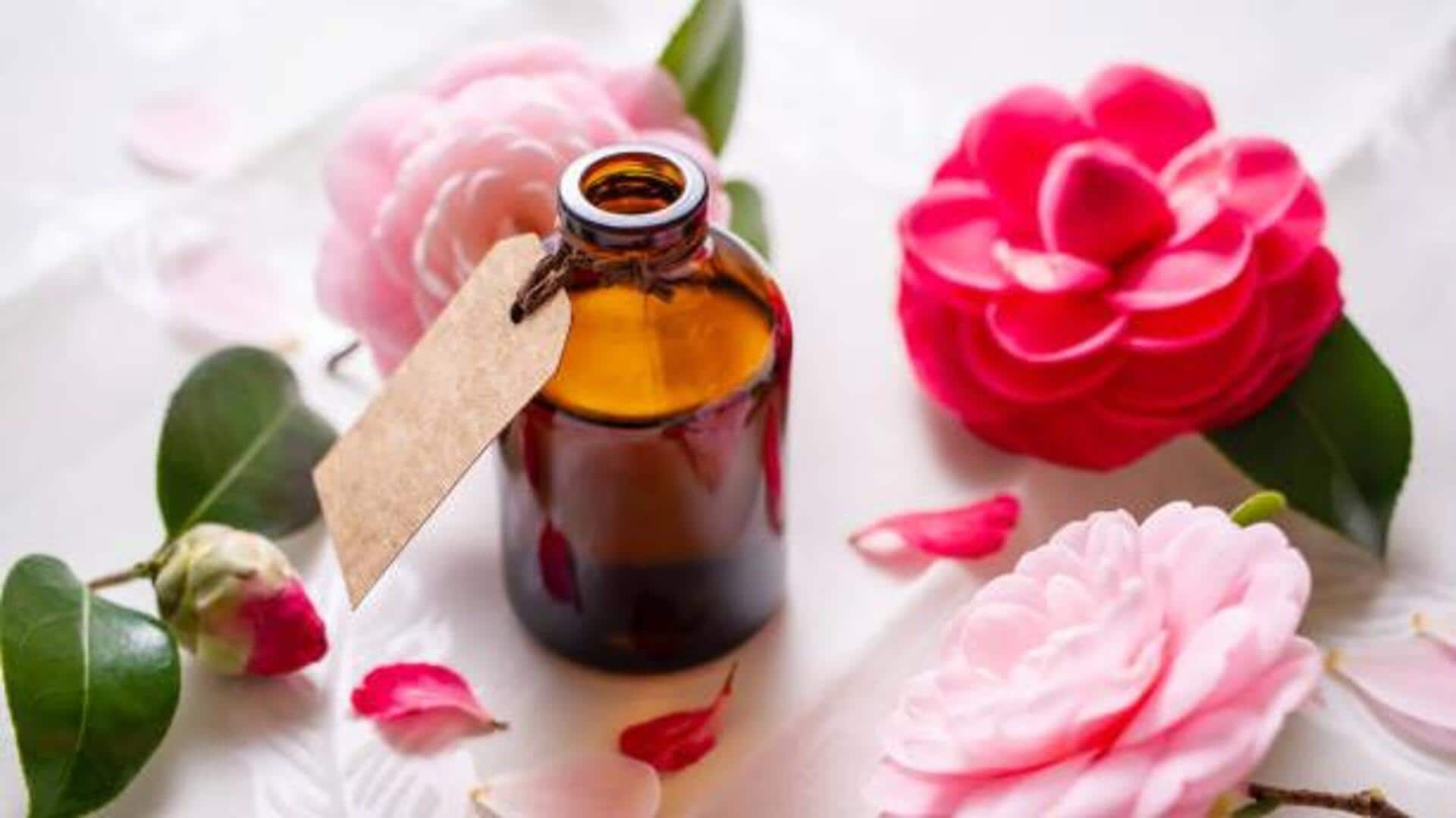 น้ำมันคาเมเลีย: เคล็ดลับสู่ความงามอ่อนเยาว์