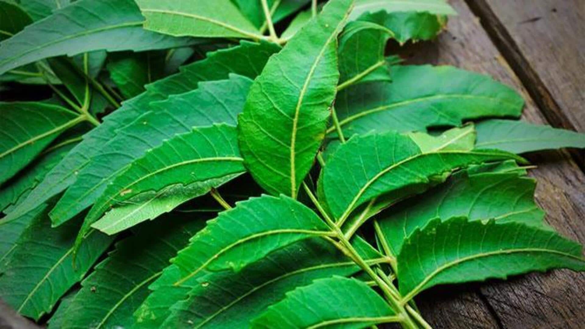 ใบสะเดา: เคล็ดลับธรรมชาติเพื่อผิวใสและสุขภาพดี