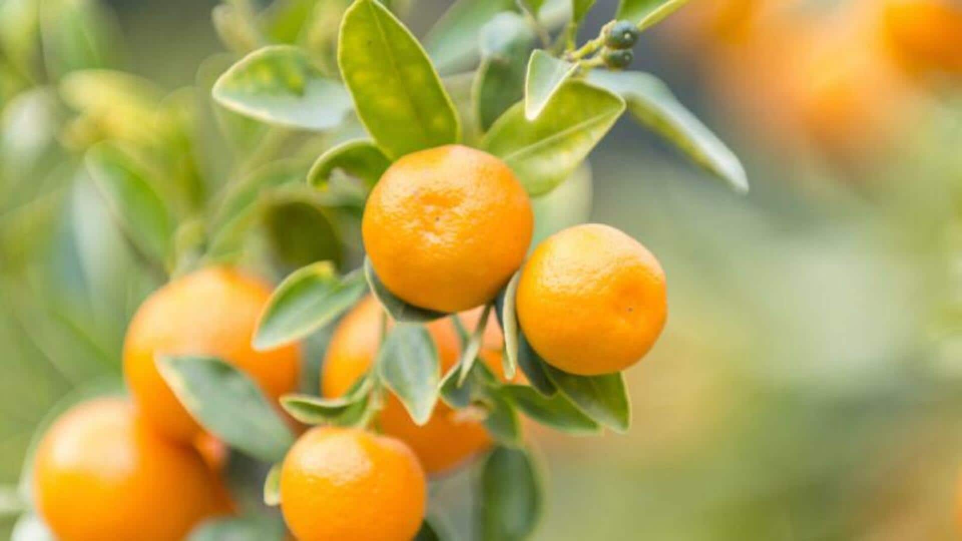 ประโยชน์ด้านความงามของส้มจี๊ด เพื่อผิวสวยเปล่งปลั่ง