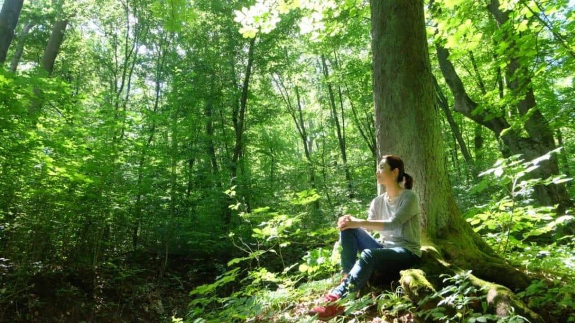 5 วิธีสงบจิตใจด้วยการอาบป่า