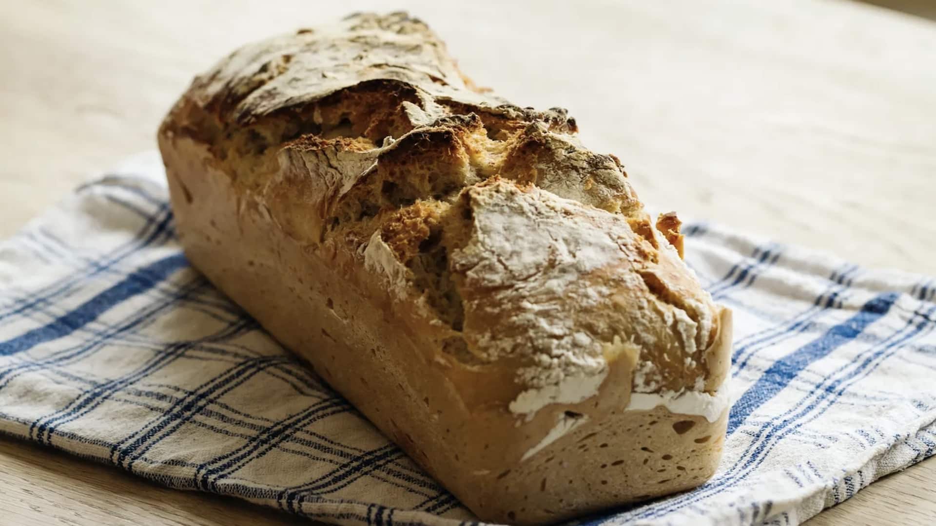 เคล็ดลับใช้ขนมปังแข็งให้คุ้มค่า ไม่ต้องทิ้งเปล่า