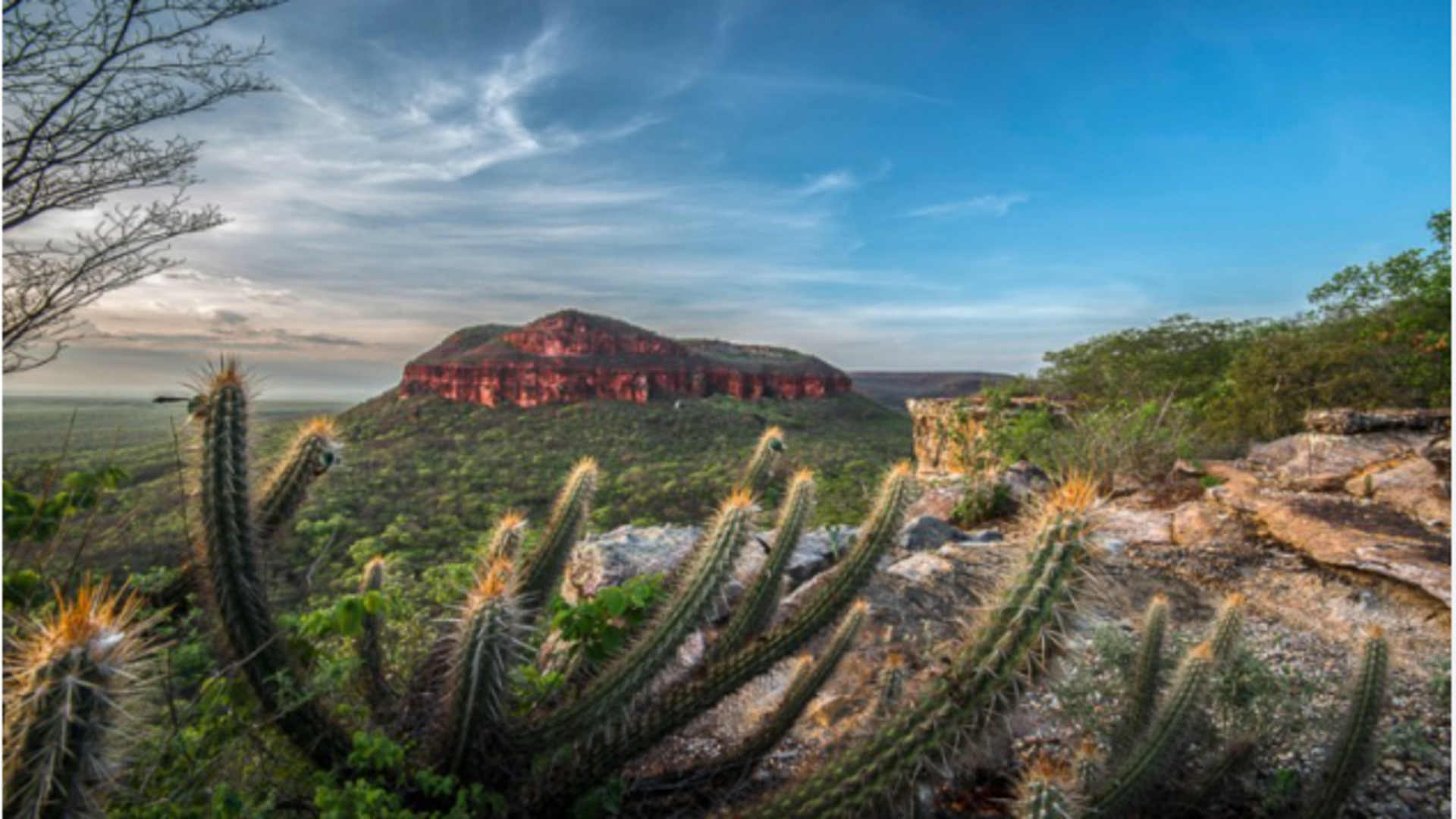 สำรวจภาพเขียนหินโบราณและทิวทัศน์หน้าผาของอุทยานแห่งชาติ เซอร์รา ดา คาปิวารา, บราซิล