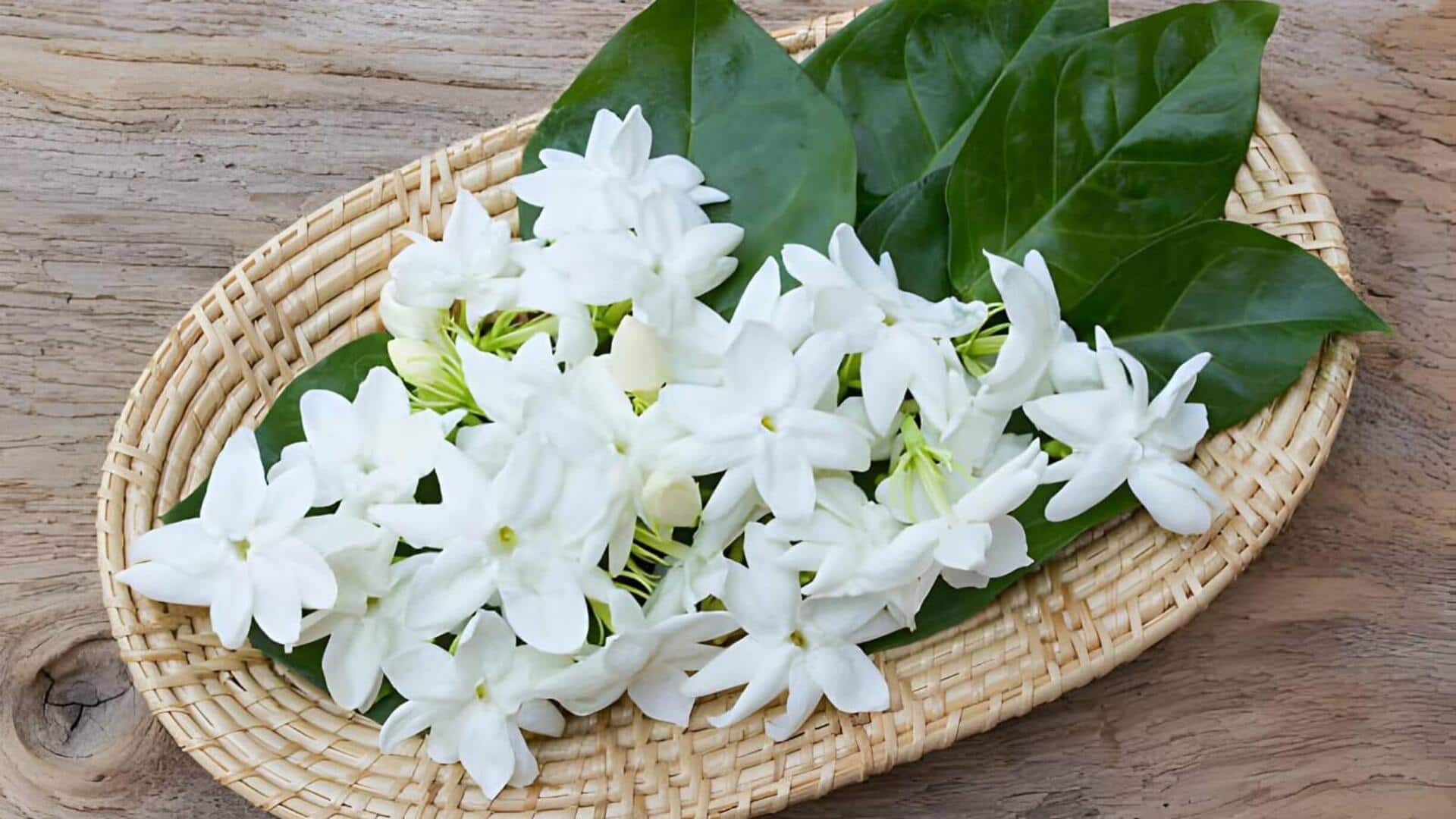 ดอกมะลิ: เสริมความงามให้ผิวด้วยพลังกลิ่นหอม