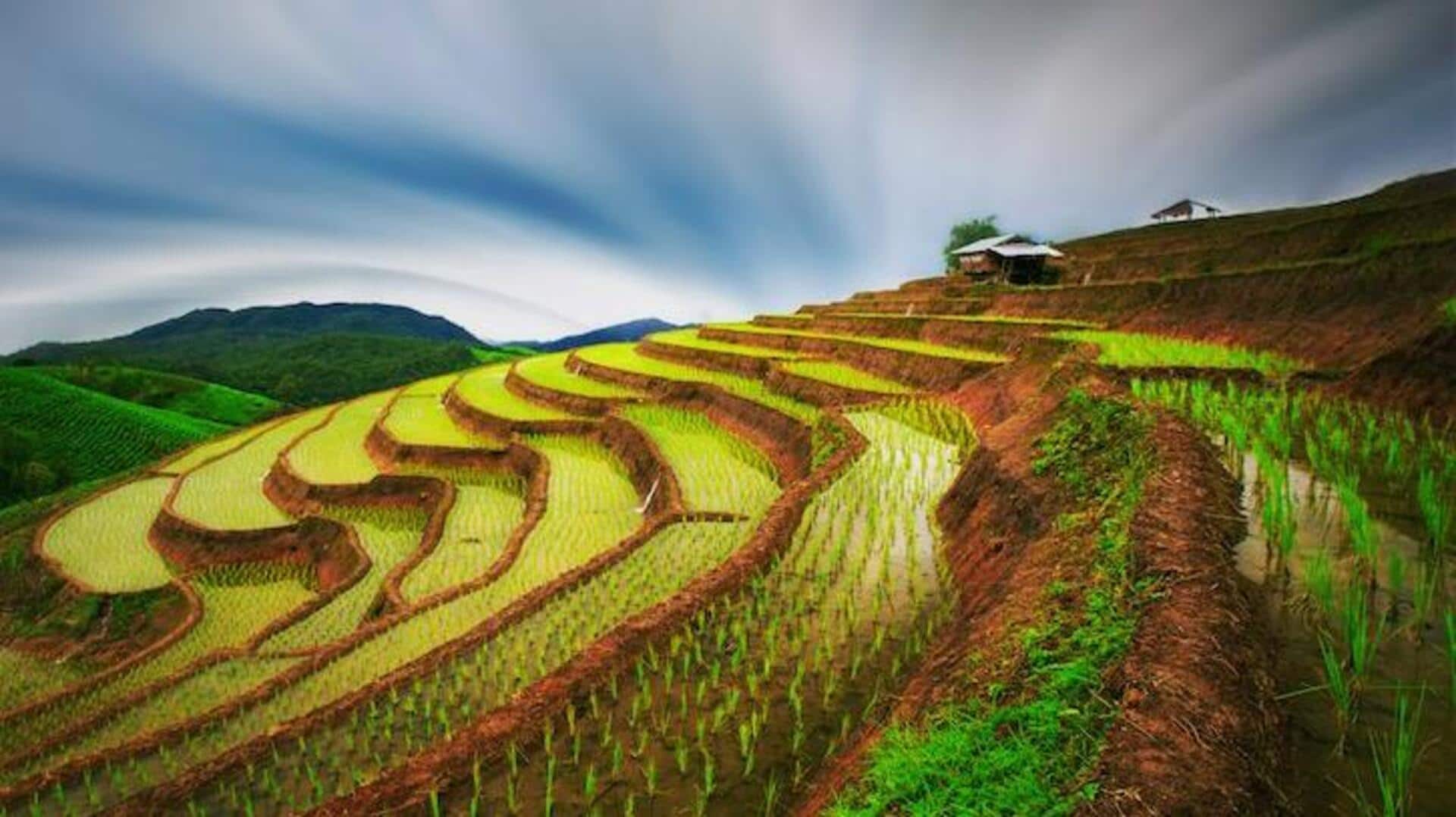 นาขั้นบันไดและจุดชมวิวภูเขาในน่าน นาขั้นบันไดและจุดชมวิวภูเขาในน่าน
