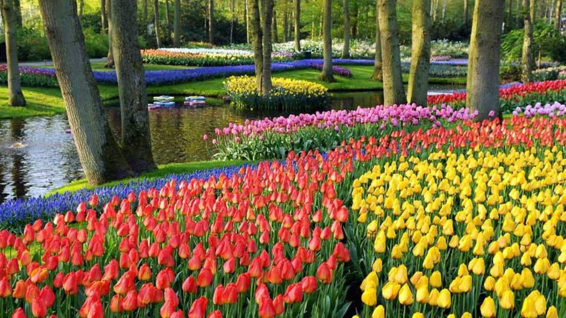 สวนพฤกษศาสตร์ที่คุณไม่ควรพลาดในเนเธอร์แลนด์