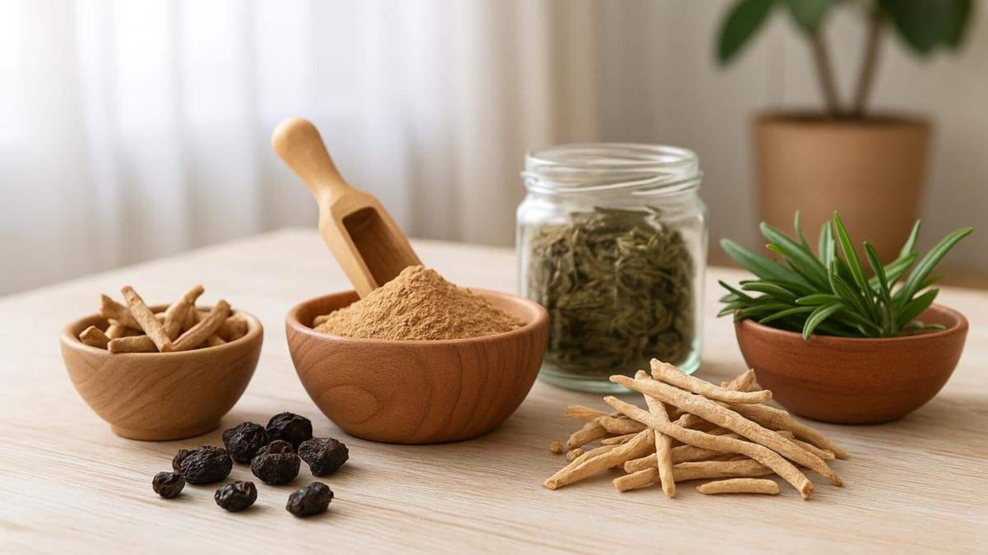 เพิ่มพลังงานด้วยสมุนไพรอายุรเวทอย่างเป็นธรรมชาติ