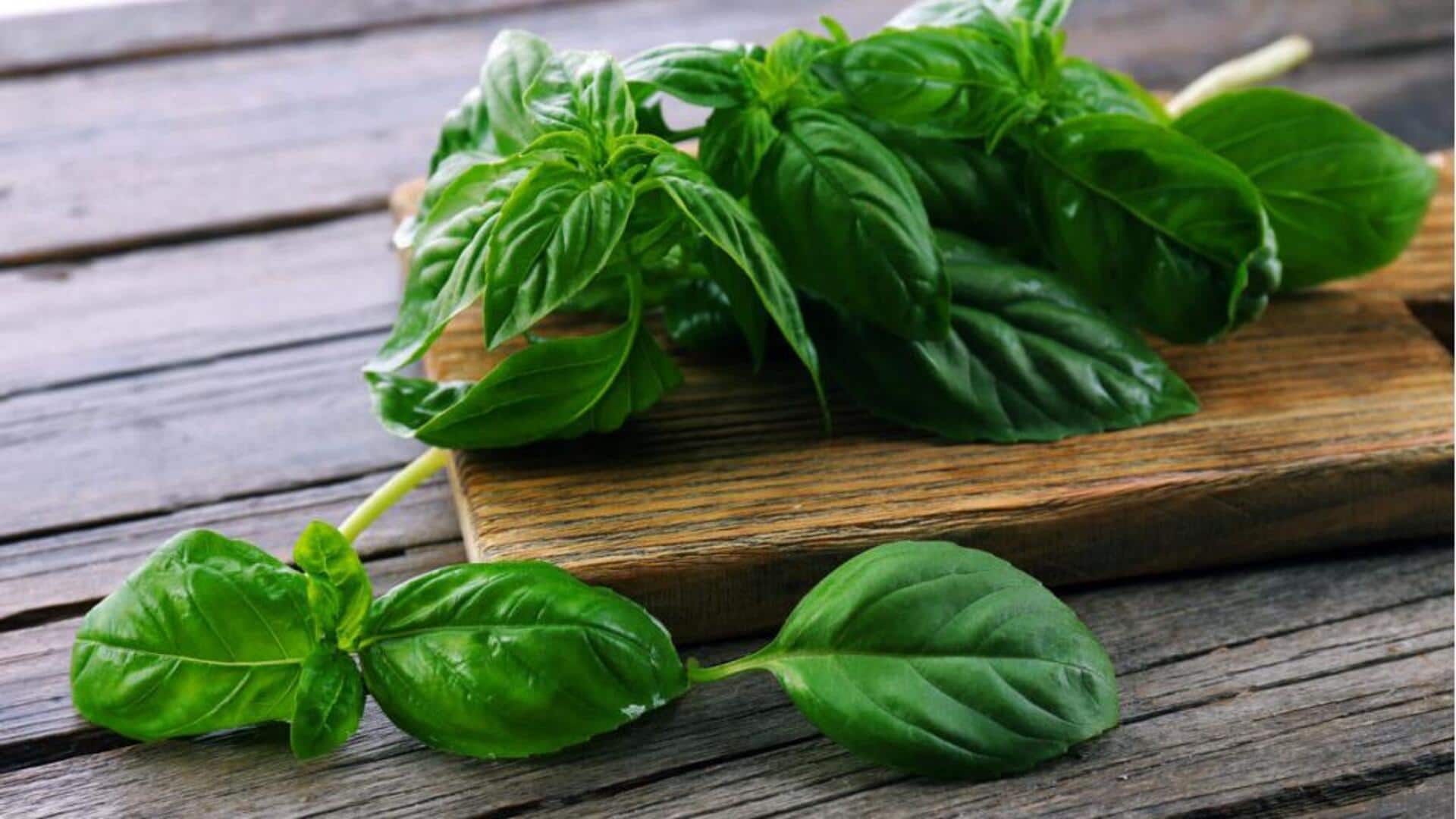 ชาโหระพาโฮมเมด สูตรง่ายเพื่อความสดชื่น