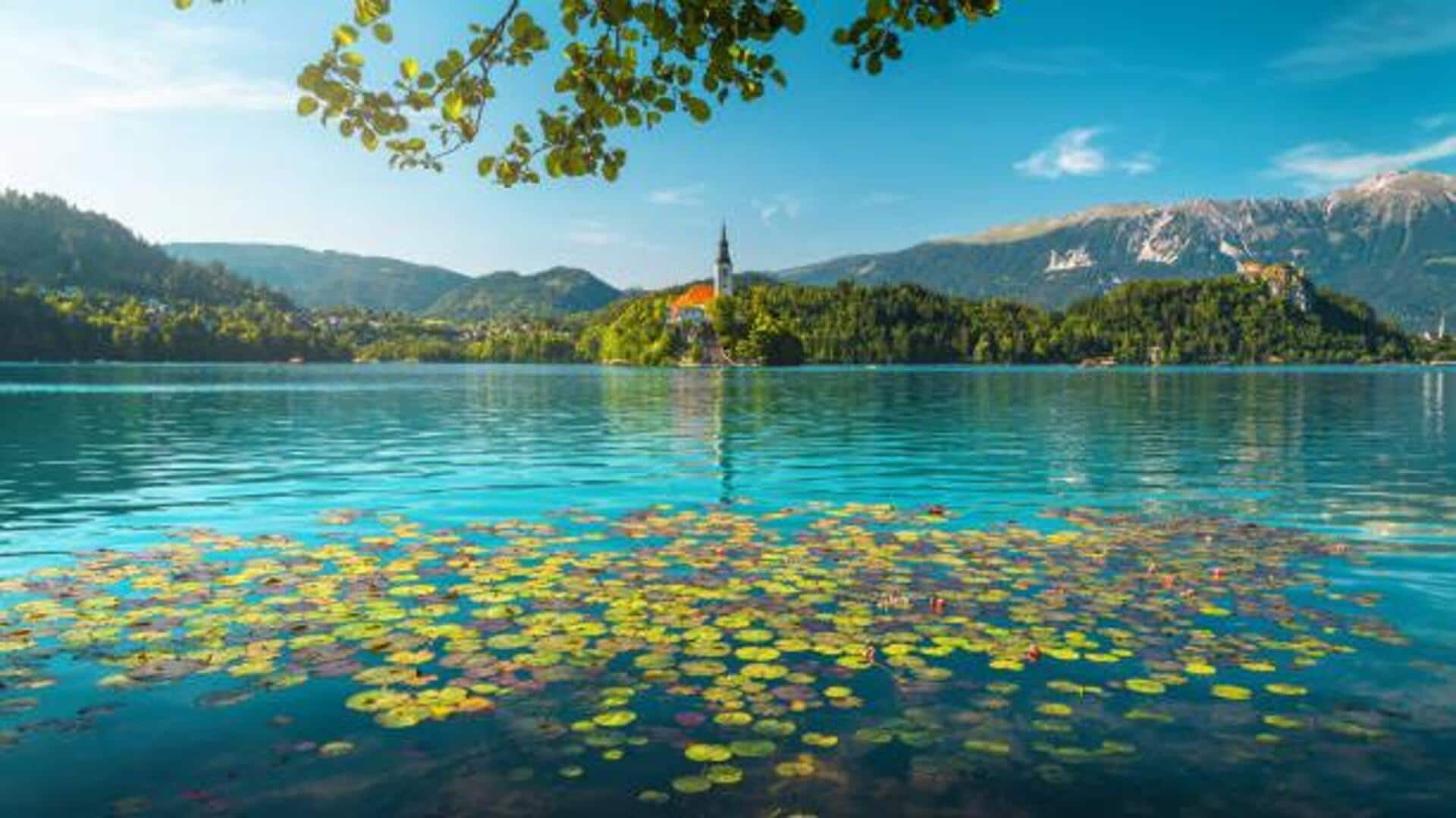 ทะเลสาบที่เงียบสงบในชนบทของสโลวีเนีย