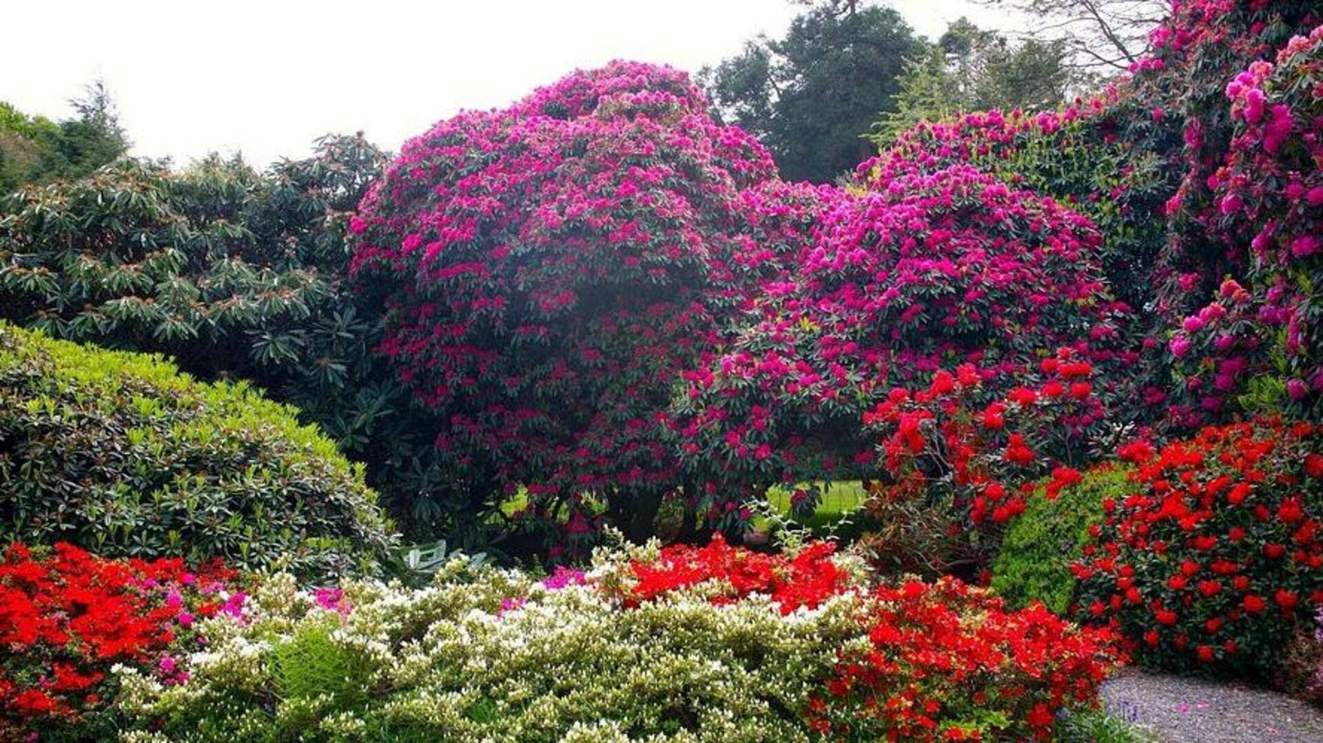 สวนลับในลิสบอน: สถานที่พักผ่อนท่ามกลางความเงียบสงบ