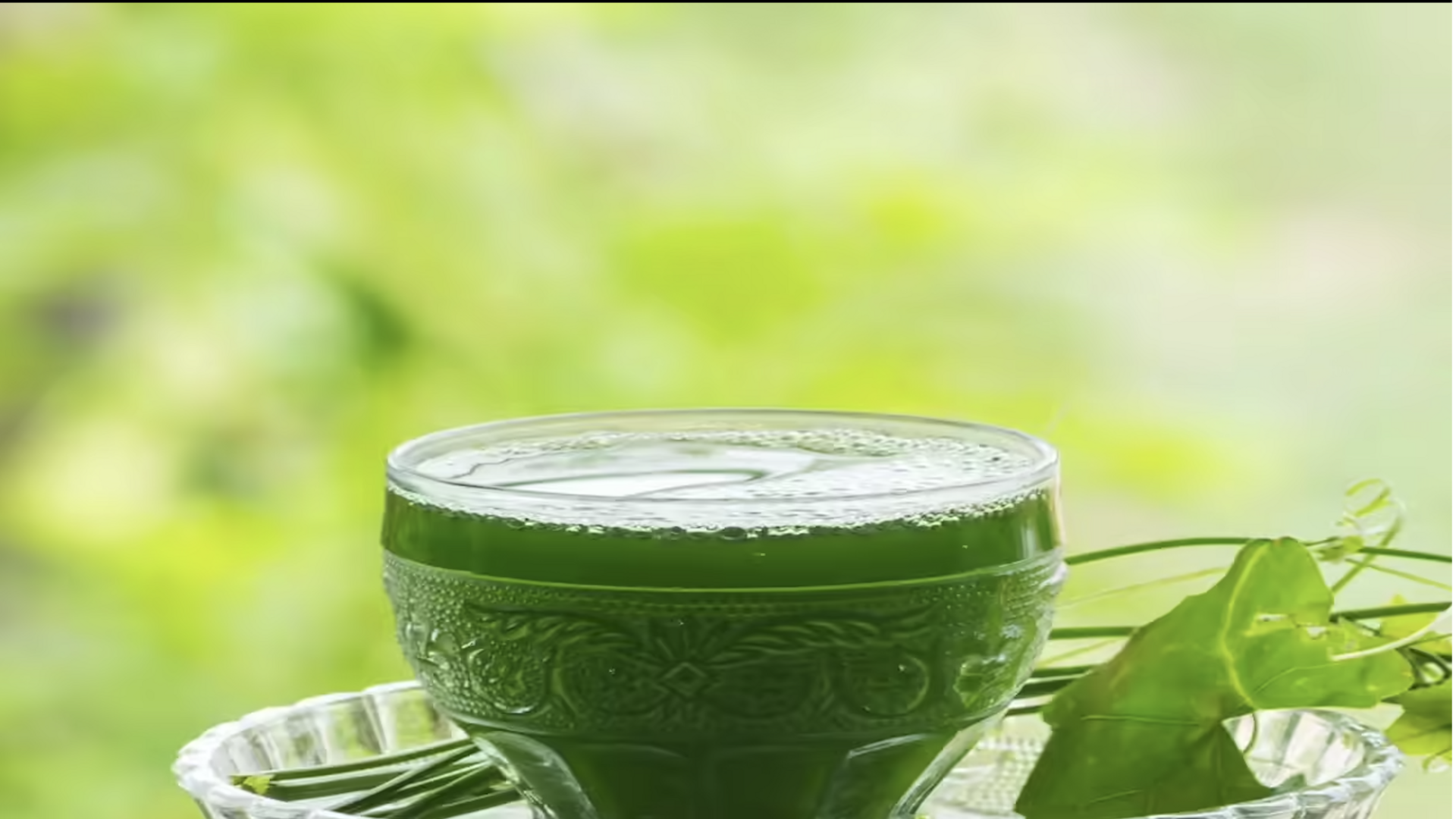 สดชื่นและแข็งแรง! สมูทตี้มะละกอชาเขียวเพื่อภูมิคุ้มกัน 