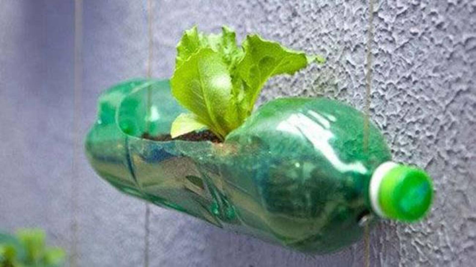 รีไซเคิลขวดพลาสติกเป็นไอเดียของใช้ในบ้านสุดคุ้มค่า