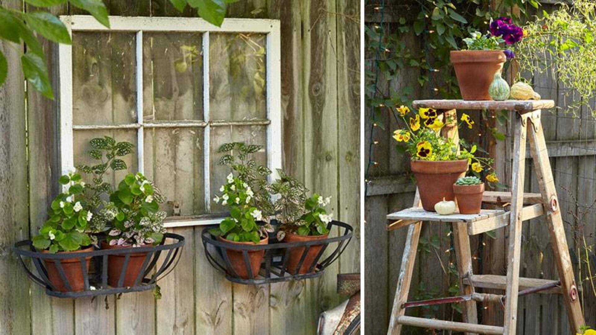 ทำสวนแบบประหยัดด้วยของใช้ในบ้าน