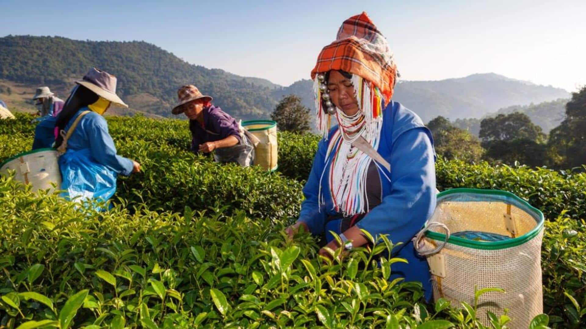 สำรวจจังหวัดที่เงียบสงบของไทย: ค้นพบอัญมณีที่ซ่อนอยู่
