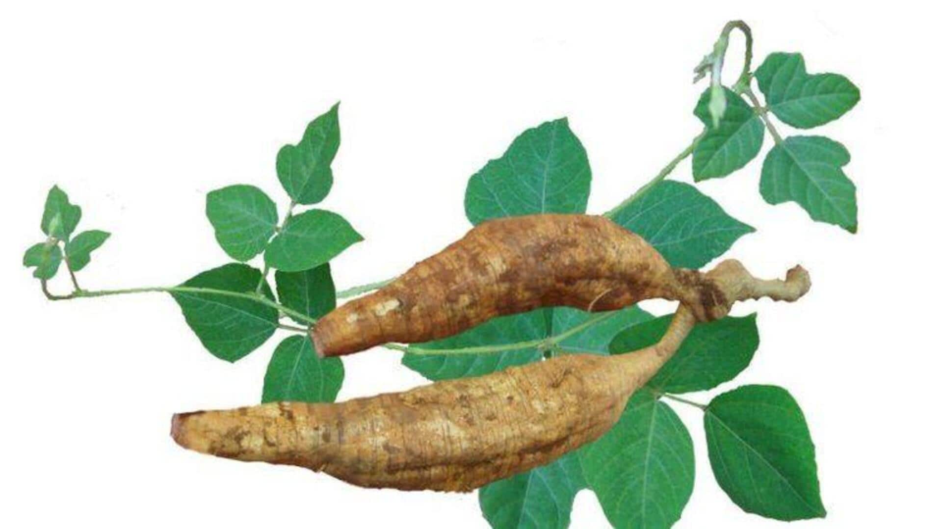 เผยพลังความงามของรากกุดซูเพื่อผิวสวย