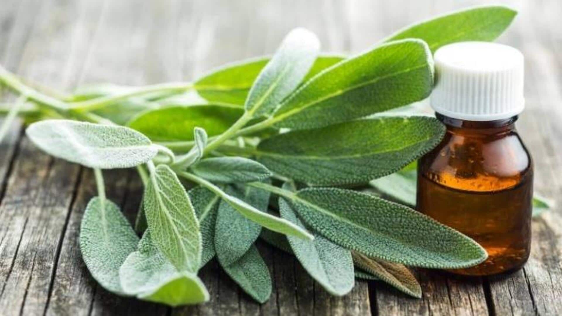 Clary Sage: เพิ่มความกระจ่างใสให้ผิวอย่างธรรมชาติ Clary Sage: เพิ่มความกระจ่างใสให้ผิวอย่างธรรมชาติ
