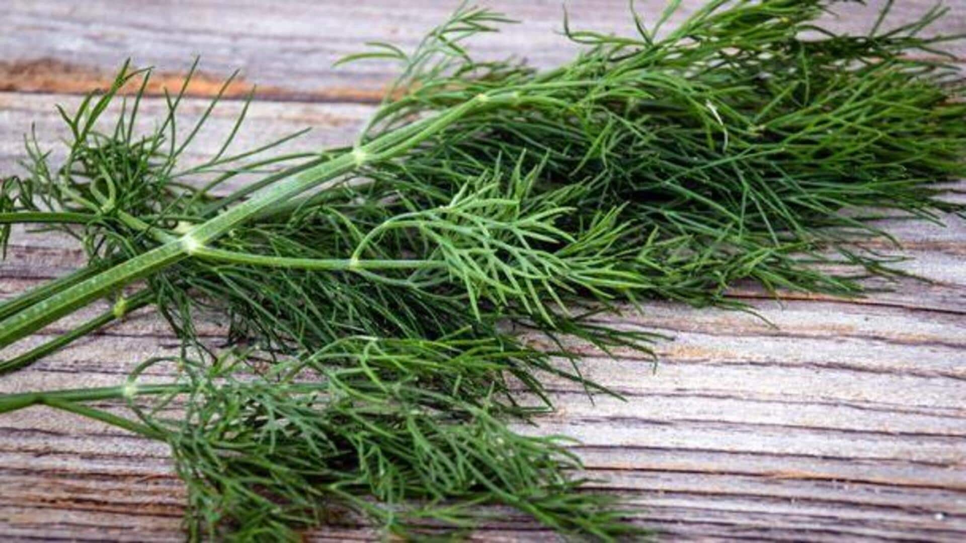 ผักชีลาว: เผยประโยชน์ความงามที่ซ่อนเร้นเพื่อผิวเปล่งปลั่ง