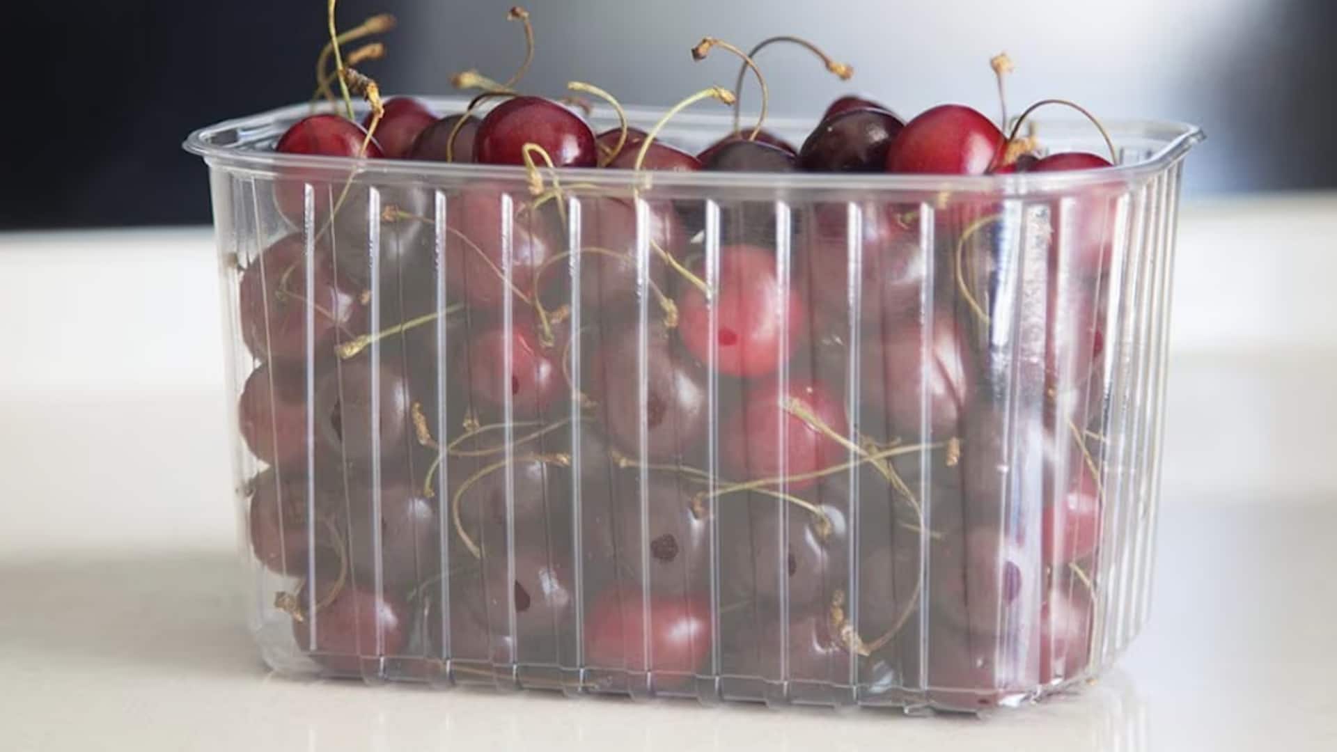 แปลงถาดผักพลาสติกเป็นของใช้สุดคุ้มในบ้าน