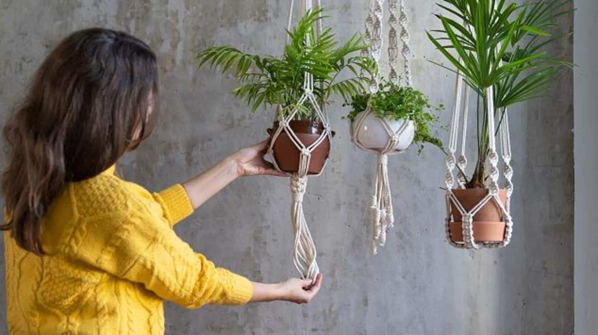 เสื้อยืดเก่า กลายเป็นที่แขวนต้นไม้สุดชิค