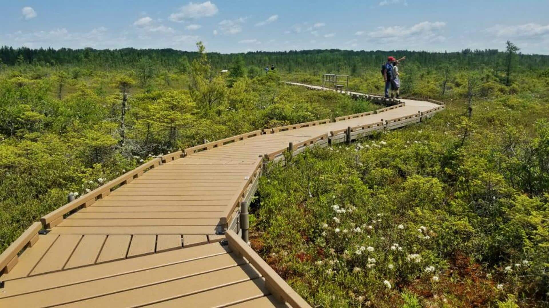 เดินเล่นบนสะพานไม้พีทบ็อกในไอร์แลนด์