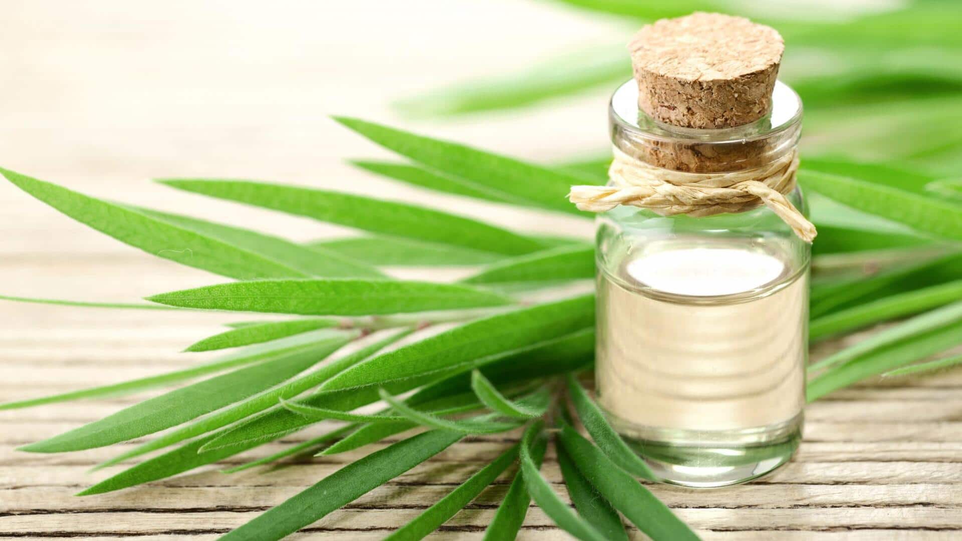 น้ำมันทีทรี: เคล็ดลับความงามเพื่อผิวเปล่งปลั่ง