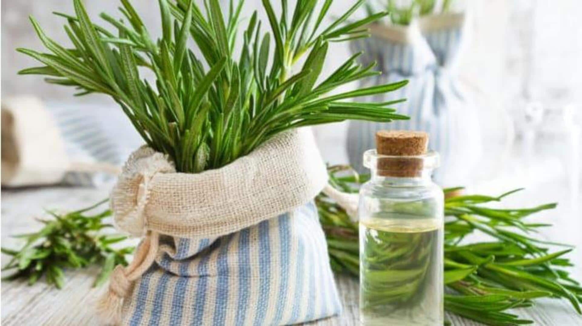 โรสแมรี่เพื่อผิวกระชับและเปล่งปลั่ง