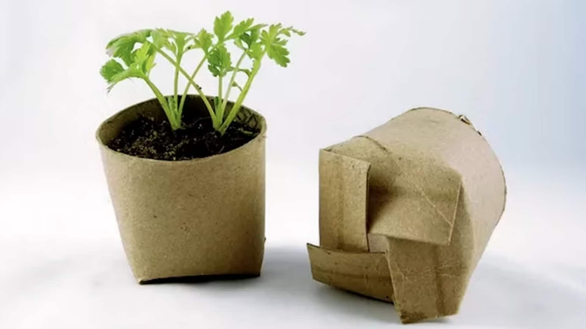 เปลี่ยนแกนกระดาษให้กลายเป็นกระถางต้นไม้สุดประหยัด