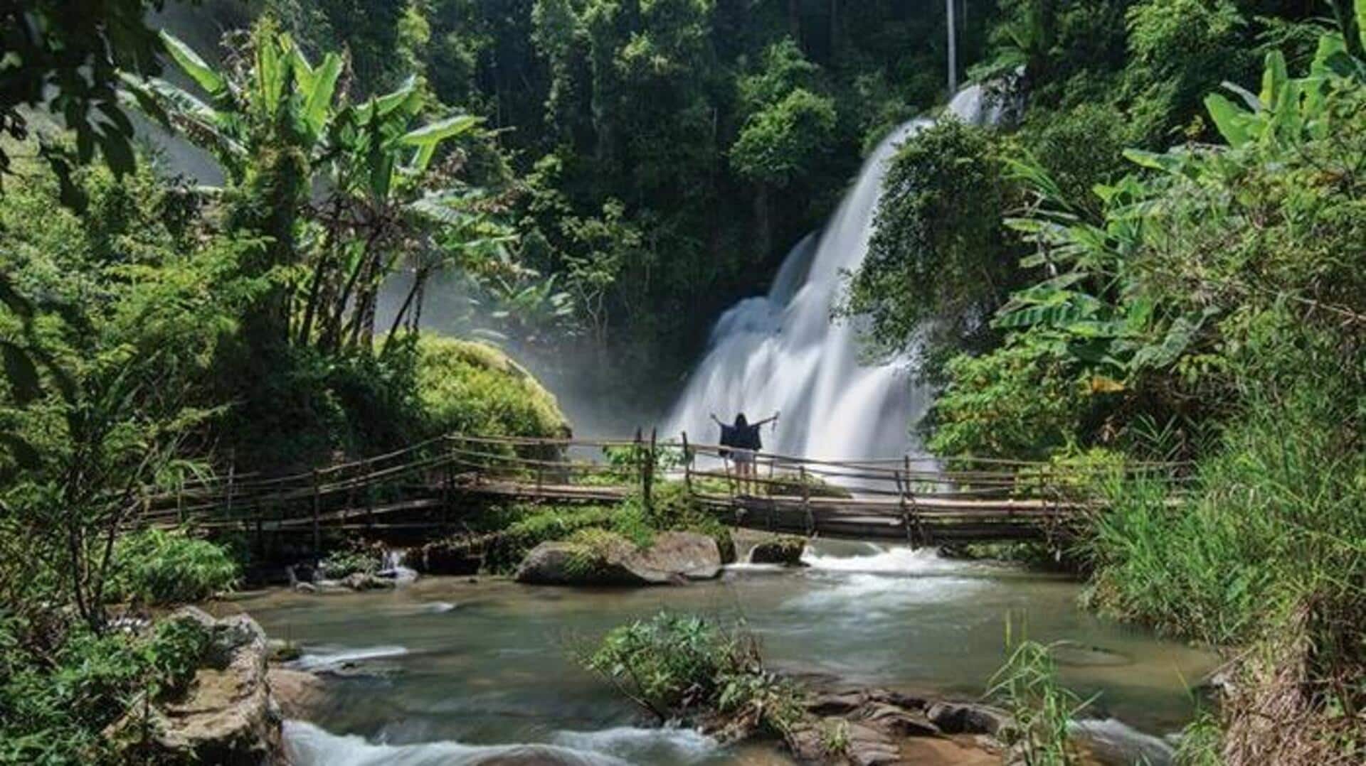 เดินท่ามกลางธรรมชาติ เติมพลังให้ใจทุกวัน เดินท่ามกลางธรรมชาติ เติมพลังให้ใจทุกวัน
