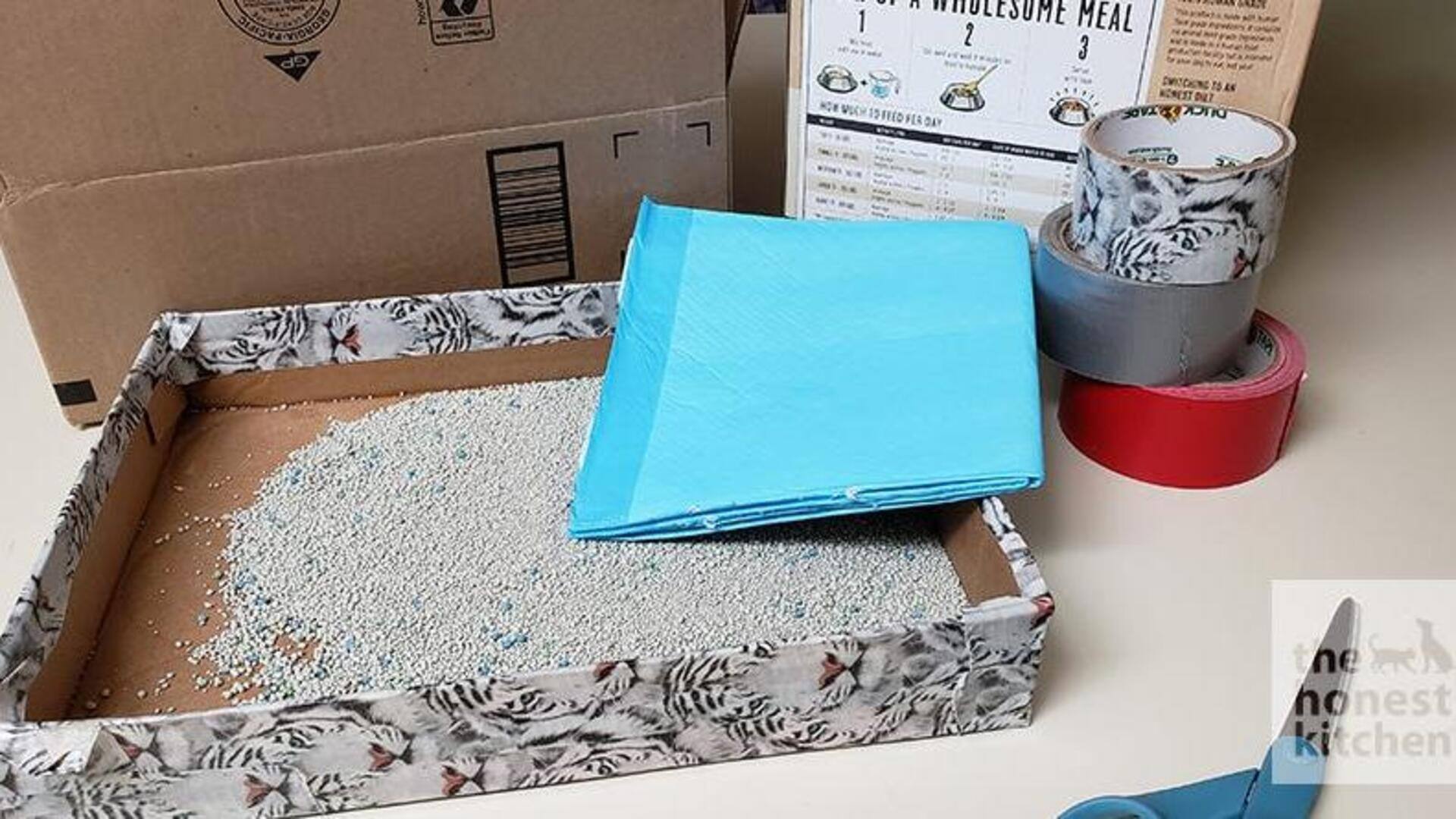 ทรายแมวประหยัด ทำเองได้จากของใช้ในบ้าน