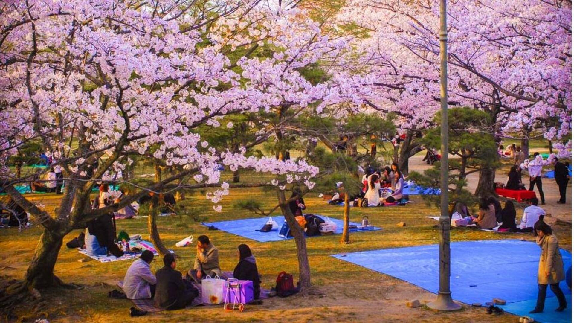 สวนสาธารณะในโซลที่เหมาะสำหรับการปิกนิก