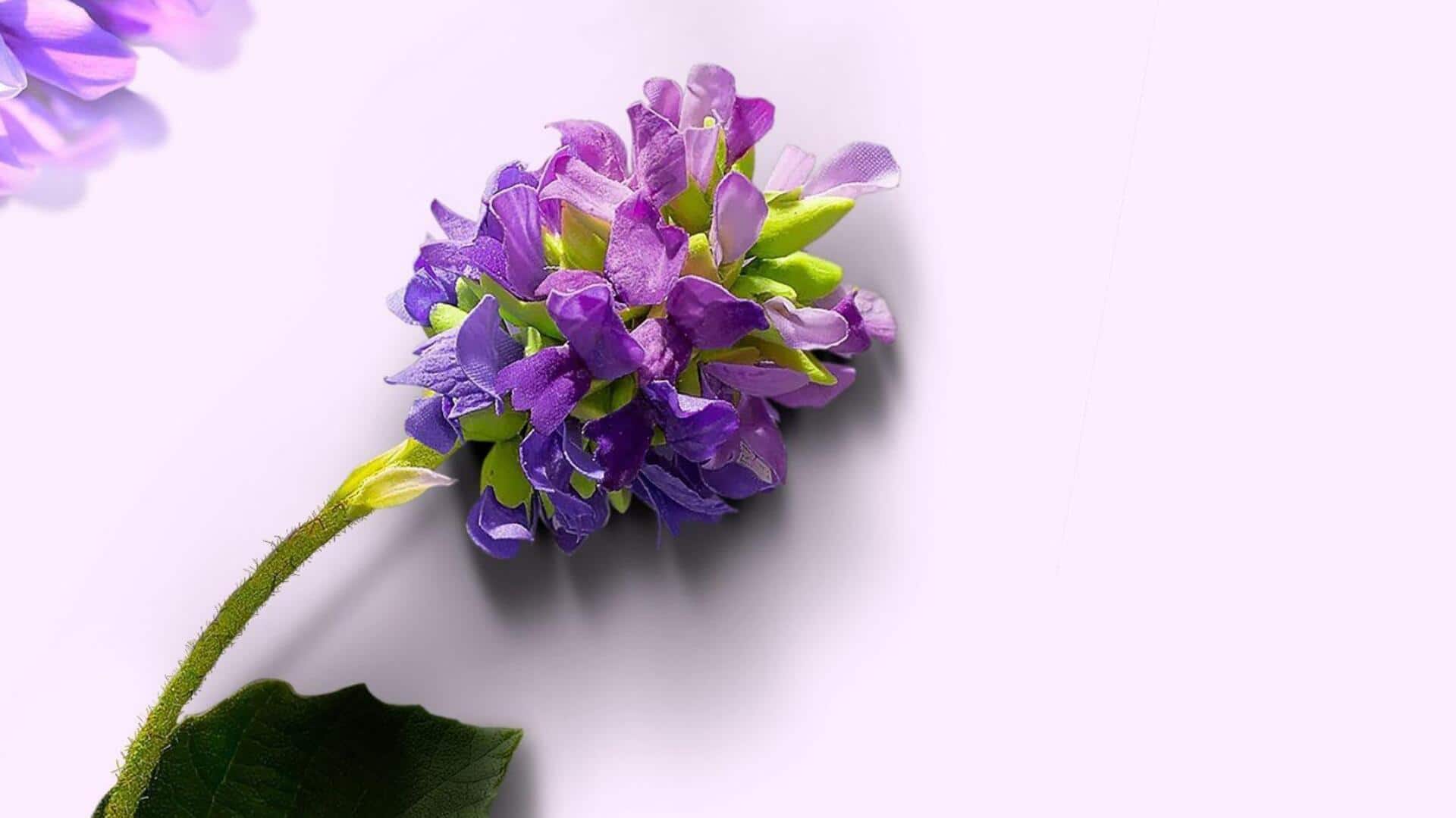 เบคูชิโอล: เผยประโยชน์ความงามเพื่อผิวอ่อนเยาว์